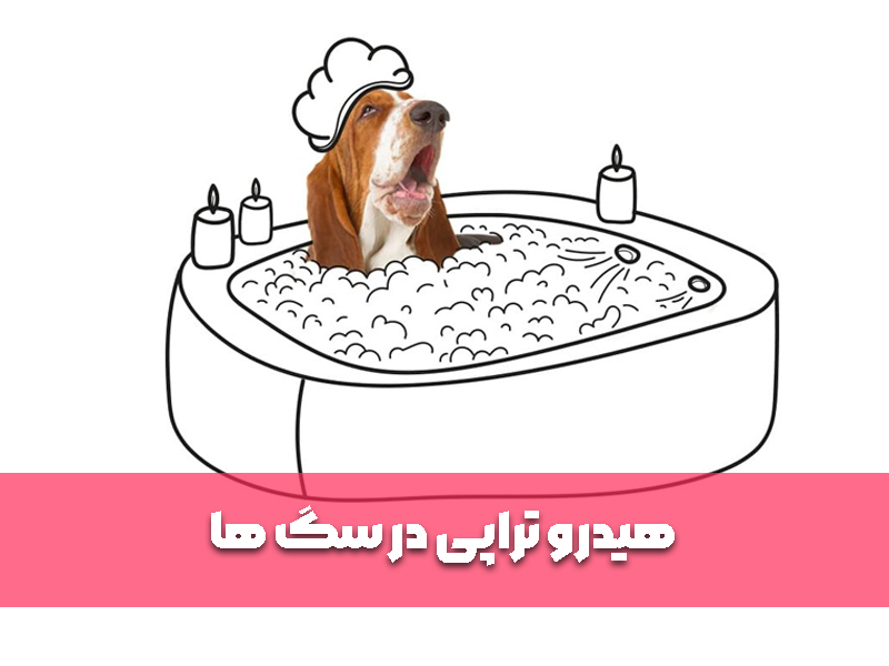 هیدرو تراپی در سگ ها